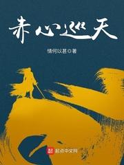 赤心巡天 赤心巡天